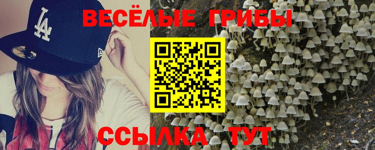 Псилоцибиновые грибы Psilocybe Нурлат