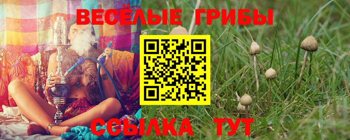 Нурлат  Галлюциногенные грибы MAGIC MUSHROOMS  Вход с VPN 